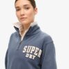 Athletic Essentials Sweatshirt mit Applikation und halbem Reißverschluss