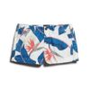Chino-Hot-Shorts Chino-Hot-Shorts
