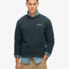 Core Logo City Loose Crew Sweatshirt