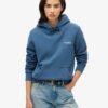 Essential Logo Kapuzenpullover Essential Logo Kapuzenpullover