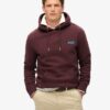 Essential Logo Kapuzenpullover Essential Logo Kapuzenpullover
