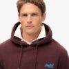 Essential Logo Kapuzenpullover Essential Logo Kapuzenpullover