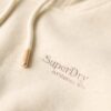 Essential Logo Kapuzenpullover
