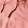 Essential Logo Kapuzenpullover