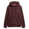 Essential Logo Kapuzenpullover Essential Logo Kapuzenpullover