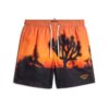 Fotografische 17-Zoll-Recycled-Shorts