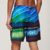 Fotografische 17-Zoll-Recycled-Shorts Fotografische 17-Zoll-Recycled-Shorts