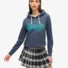Kapuzenpullover mit ton-in-ton Vintage-Logo Kapuzenpullover mit ton-in-ton Vintage-Logo