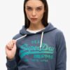 Kapuzenpullover mit ton-in-ton Vintage-Logo Kapuzenpullover mit ton-in-ton Vintage-Logo