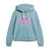 Kapuzenpullover mit verziertem Vintage-Logo Kapuzenpullover mit verziertem Vintage-Logo