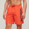Sport Graphic 17-Zoll-Recycled-Material-Shorts