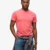 T-Shirt aus Organic Cotton mit kleinem Logo T-Shirt aus Organic Cotton mit kleinem Logo