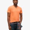 T-Shirt mit V-Ausschnitt und „Organic Cotton Essential“-Logo