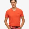 T-Shirt mit V-Ausschnitt und „Organic Cotton Essential“-Logo