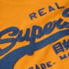 Tailliertes T-Shirt mit gesticktem Vintage-Logo Tailliertes T-Shirt mit gesticktem Vintage-Logo