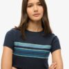 Vintage Stripe Crop T-Shirt