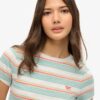 Vintage Stripe Crop T-Shirt