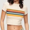 Vintage Stripe Crop T-Shirt